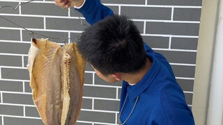 Tuition Recovery Plan: I Dry Salted Fish on My Dorm Balcony