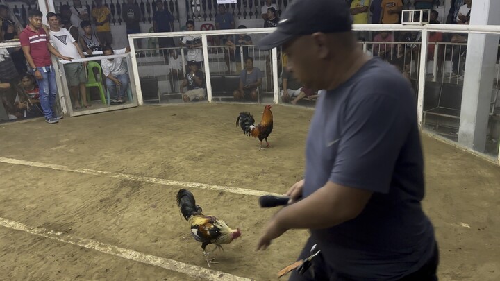 3rd fight win nakabawe sa may ari ng binabae na tumalo kaya gigil haha