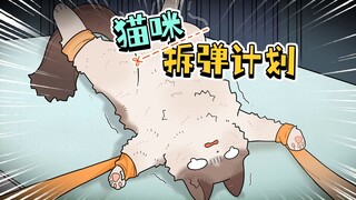 铲屎官设局绝育，嚣张布偶秒变公公……