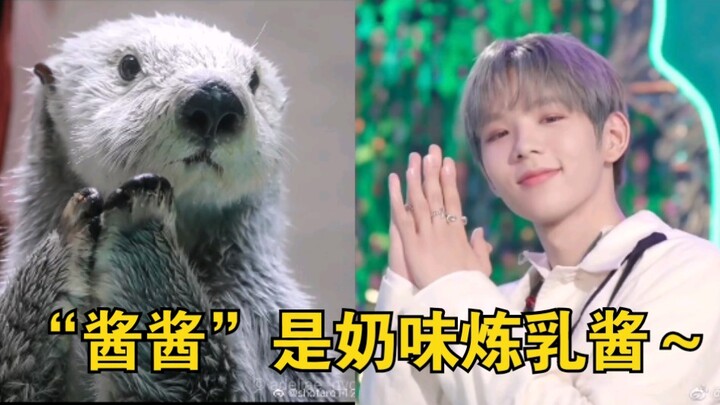 【شوتارو】 ثعلب الماء الصغير الحلو والمرح بطبعه.. من لا يحب الطفل الذي لا يتوقف عن الابتسام؟ ادخل عالم