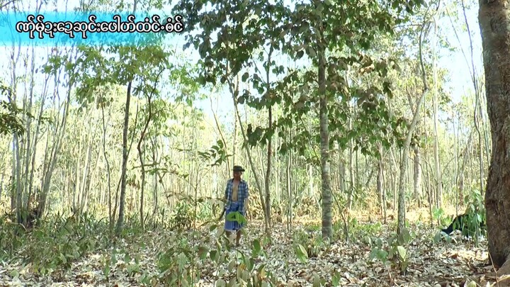 Karenဇာတ်ကားများ