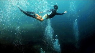 Swimming with two lovely Golden Trevally | Salt Life