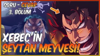 Xebec'in Şeytan Meyvesi! One Piece Soru Cevap