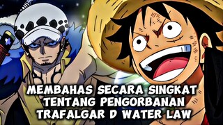 MEMBAHAS SECARA SINGKAT TENTANG PENGORBANAN TRAFALGAR D WATER LAW