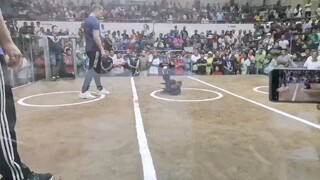 san juan coliseum (4hits) 4/1/25 WLWL