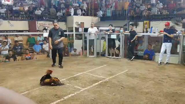using dpill dbol pinag babawal na teknik