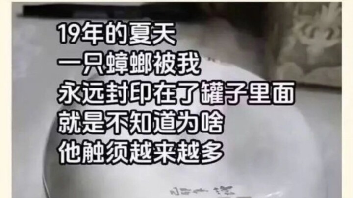 Dọa đến khóc luôn