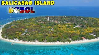 Exploring Balicasag Island in Bohol