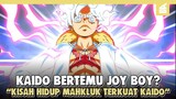 Masa Kelam Sang Yonko Kaido!! Penjelasan Breakdown One Piece 1049