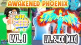 Noob to Max Lvl Using Awakened Phoenix Fruit-BLoxfruits