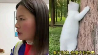 小猫咪好可怜呀