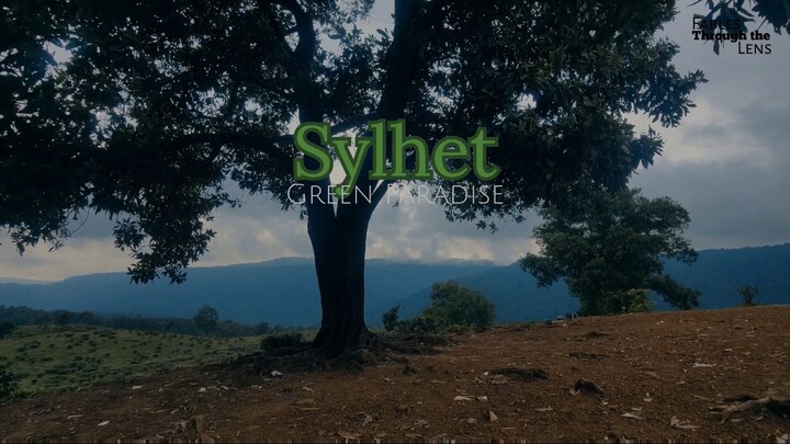 Sylhet | Green Paradise