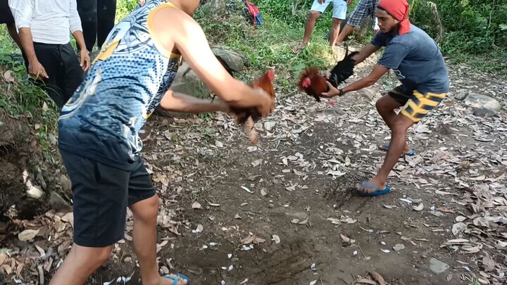 Pera na naging Bato pa 😒