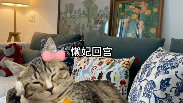 Sự khác biệt giữa việc bạn gái về nhà tôi và về nhà cô ấy