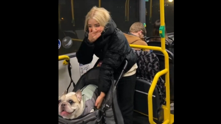 “My dog embarrasses me in public” 😂
