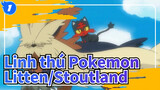 [Linh thú Pokemon] Litten:" Stoutland, bạn có thấy sự trưởng thành của tôi?"_1