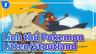 [Linh thú Pokemon] Litten:" Stoutland, bạn có thấy sự trưởng thành của tôi?"_1
