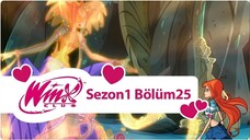 Winx Club - Sezon 1 Bölüm 25 - Büyük Meydan Okuma