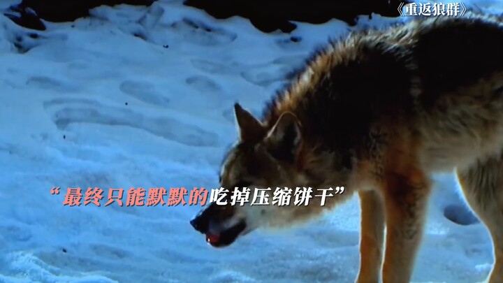 Green: Ibu selamatkan nyawaku, hanya Ibu yang boleh makan persediaan makanan penyelamatku #KembaliKe