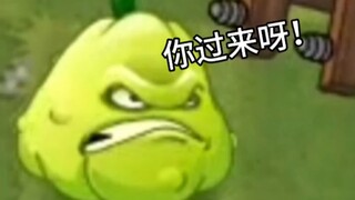 【极致整活】窝瓜：知识，与你分享！