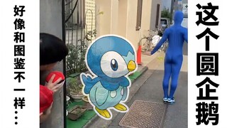 败给了野生的圆企鹅【RAB】