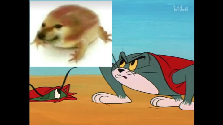 It’s the Cat vs. Mouse team! The Cat vs. Mouse team is still dealing damage!