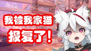 【呜米】它在我床上拉屎！！！！！