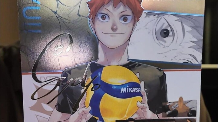 Figur bola voli kecil ini benar-benar tampan sekali...