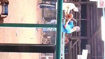 3rd fight win champion