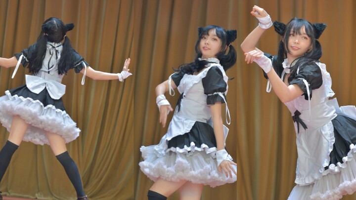 Pink Cat❤️phiên bản live của Cat Ear Maid [Azusa Sakura]