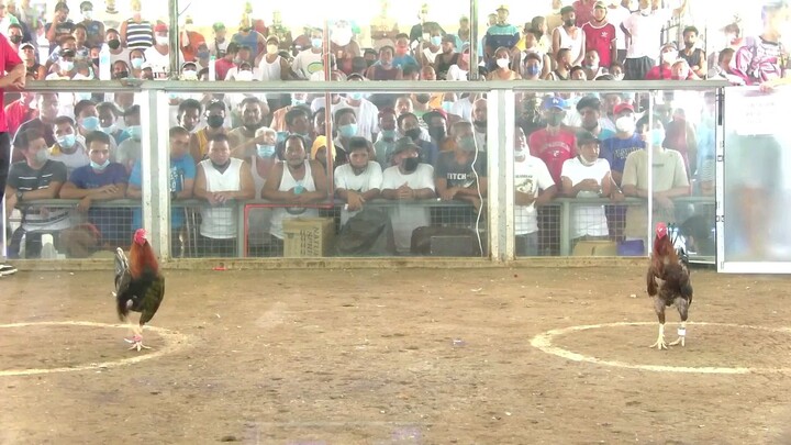 wala sa itsura nasa performance