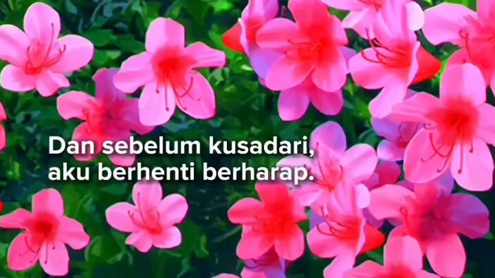 berhenti berharap lebih baik😾