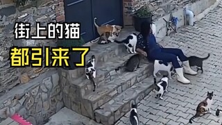 Those animals that unexpectedly encounter humans!