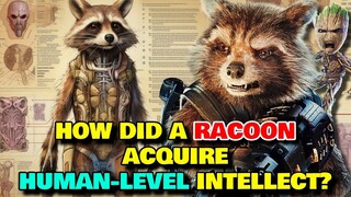 Rocket Raccoon Anatomy Explored - How Did A Racoon Achieve Intelligence? How Was He Created?