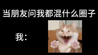 朋友问我混什么圈子...
