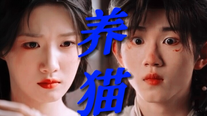 天哪原来女主真养了九只猫，难怪剧里和猫猫互动这么真实自然！