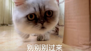 Remake of Grandma Cat and Fakeman Episode 2