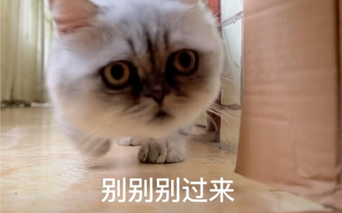 Remake of Grandma Cat and Fakeman Episode 2