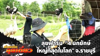 เรื่องเด็ดลุยเดี่ยว | ลุยฟาร์ม "4 นกยักษ์ใหญ่ที่สุดในโลก" จ.ราชบุรี | ข่าวเที่ยงอมรินทร์ | 4ส.ค.67