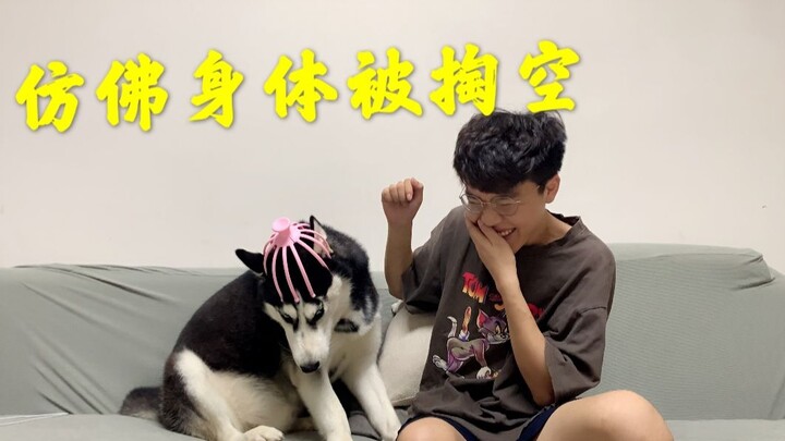 Sealing the Husky with a Soul Extractor: “It’s like my very soul has been ripped out!”