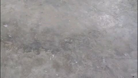 mobiil