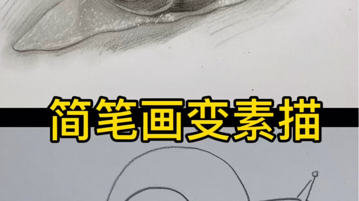 【ภาพนิ่งด้วยดินสอ】เปลี่ยนภาพวาดลายเส้นง่ายๆ ให้เป็นภาพสเก็ตช์