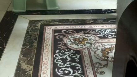 Con mèo này có cái đuôi hơi bị “vi phạm” một chút!