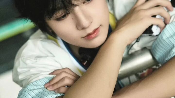 TF家族