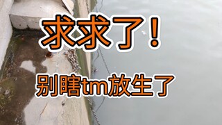 ไอ้โง่คนไหนปล่อยสัตว์ตัวนี้ไป?