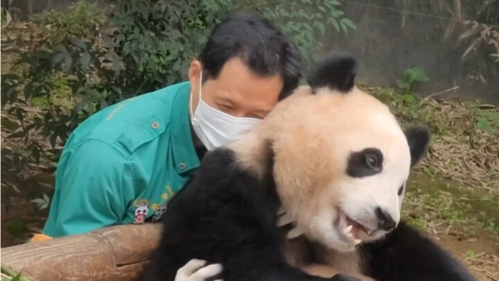 Ông nội lâu rồi mới đến, định tạo bất ngờ cho Phúc Bảo nhưng ai dè Phúc Bảo giật mình hết hồn luôn, 