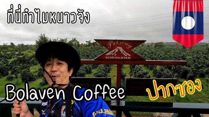ติดฝนปากเซ Ep 8 ไปซื้อกาแฟ เมืองปากซอง Bolaven coffee
