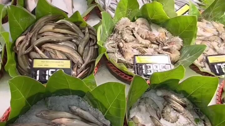 প্রতি ১ লাখ টাকায় ২০০০-৩০০০ টাকা মুনাফা নিন, স্মার্ট এগ্রোতে বিনিয়োগ করুন