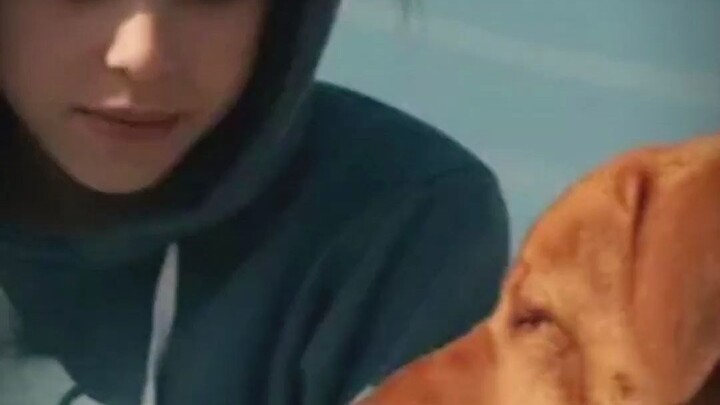 انتشر فيروس يوم القيامة، ونجا رجل وكلب بمفردهما. المشهد التالي كان صادمًا.