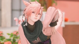 FF14/GMV】みんなだいすき（Orientasi pribadi gadis kucing